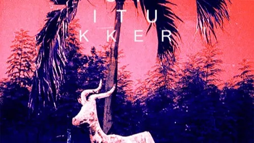 Carl Cox remixe 'Drinkee' de Sofi Tukker (vidéo)