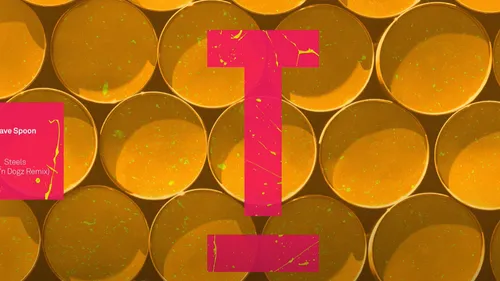 Coup de cœur FG : Catz 'n Dogz remixe 'Steels' de Dave Spoon