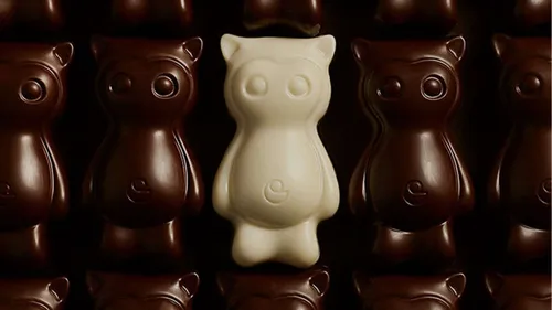 FG CHIC : Cédric et la Chocolaterie. 