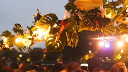 Disco Disco, la croisière festive fait son retour sur la Seine