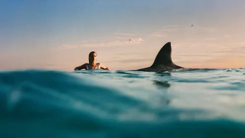 Sortie Album : Radical Optimism