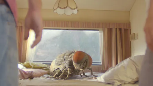 La music story du jour : Quentin Dupieux