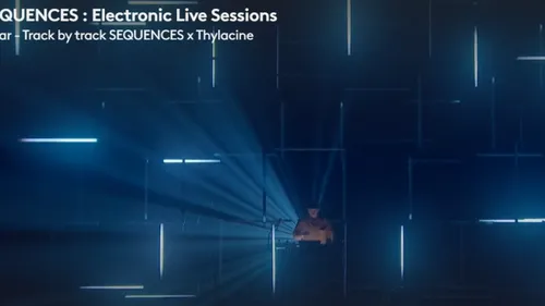 Thylacine en live aujourd’hui !