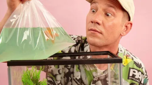 David Guetta et Riton collaborent sur l'excellent "Where You Want Me"