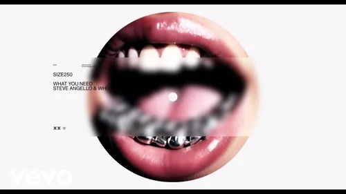  What you need, la pépite signée Steve Angello et Wh0