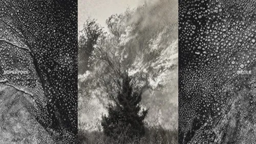 La music story du jour : Superpoze