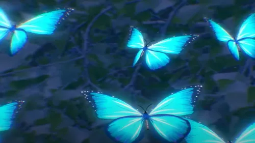 Vintage Culture sort son nouveau titre Butterflies