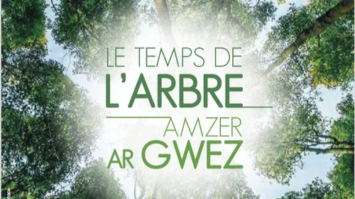 Quimper : un mois d'animation autour des arbres et de l'environnement 