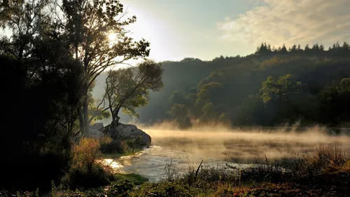 Journée mondiale des zones humides : des zones d'une biodiversité...