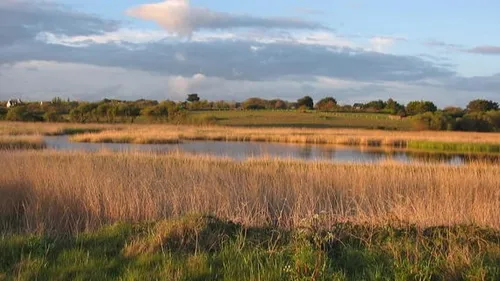 Trégunc: balade nature à la découverte des trésors de Trévignon