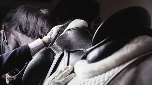 Para-attelage, l'équitation adaptée aux personnes en situation en...