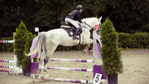 Equi Pondi : début de la 27ème édition ce jeudi 