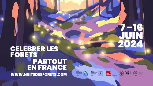 Deux événements "les nuits des forêts" à Camors et à Brest