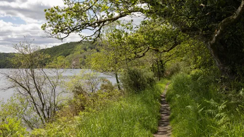 Quelques conseils nature pour vos balades et votre jardin !