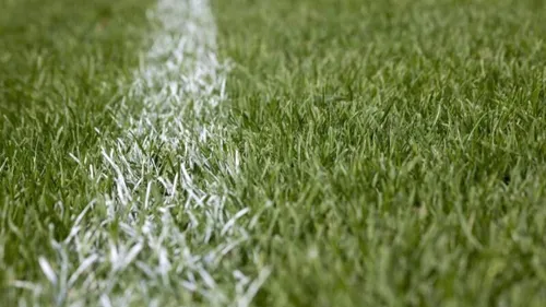 Sports: le programme des clubs bretons