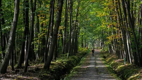 Rando VTT et pédestre à Guillac ce dimanche