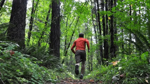 4è édition du Trail du Pélem ce dimanche