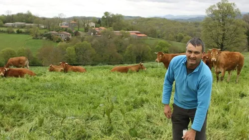 Abattage annoncé de 208 bovins au GAEC de Mouriscou : la profession...