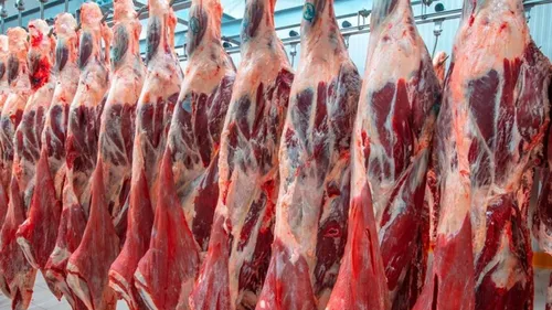 Un nouveau gestionnaire pour pérenniser l’abattoir de Saint-Girons