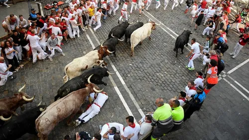 Premier "encierro" à Pampelune depuis 3 ans : cinq blessés 