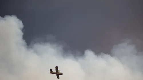 Incendies en Gironde : près de 11 000 hectares de forêt détruits