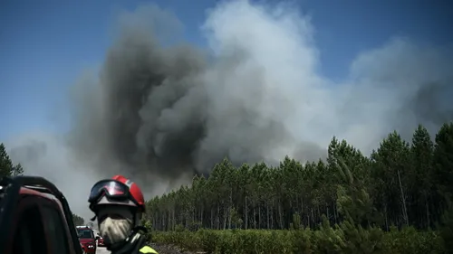Incendies en Gironde : 8 000 personnes évacuées à La Teste-de-Buch 