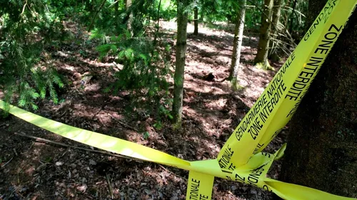 Disparition d'Estelle Mouzin : de nouvelles fouilles dans les...