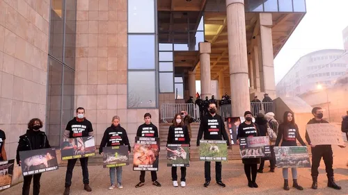 Le Mans : éleveurs contre militants en marge du procès des animalistes