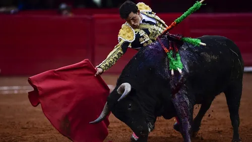 La corrida bientôt interdite à Mexico ?