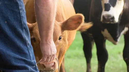 Les 4 infos du vendredi 26 janvier