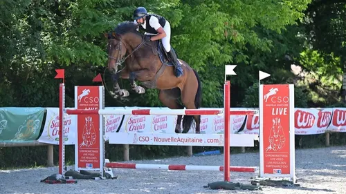 Gironde et Dordogne : nos idées sorties du week-end 
