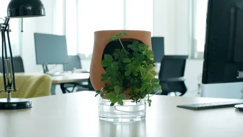 À Angers, il crée des pots de fleurs originaux et autonomes en eau