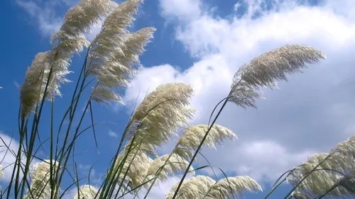 Le sud-ouest en vigilance jaune pour vagues et vent violent