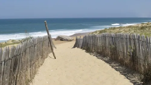 La-Teste-de-Buch : réouverture d'une partie des pistes cyclables et...