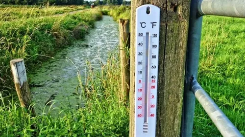 Quel temps attendu pour les fêtes de fin d’année ?