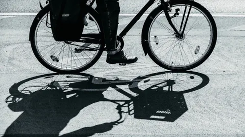 TER Nouvelle-Aquitaine : un nouveau service pour voyager avec son...