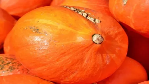 Zoom sur la législation concernant le gaspillage alimentaire