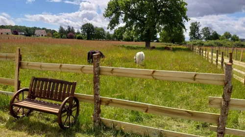Vacances en Sarthe : et si on allait à la rencontre d’animaux pas...