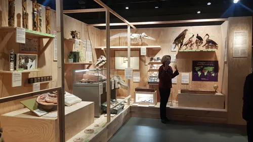 Museum de Bordeaux : une expo pour comprendre à quoi sert une...