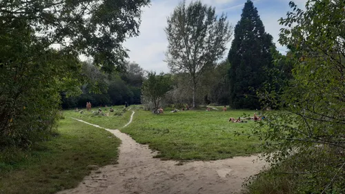 On a testé l’espace naturiste du bois de Vincennes