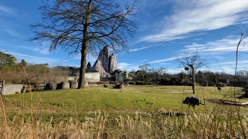 Le parc zoologique de Paris fête les 10 ans de sa réouverture