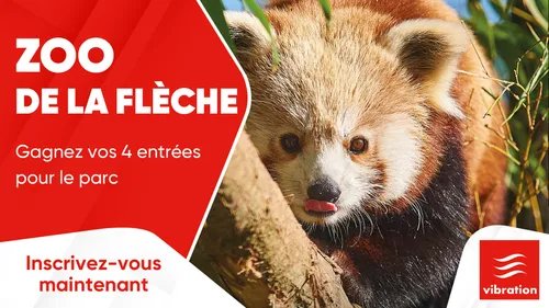 Zoo de la Flèche : gagnez vos 4 entrées pour le parc