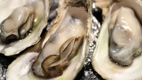 Bassin d'Arcachon : les ostréiculteurs victimes d'une vague de...