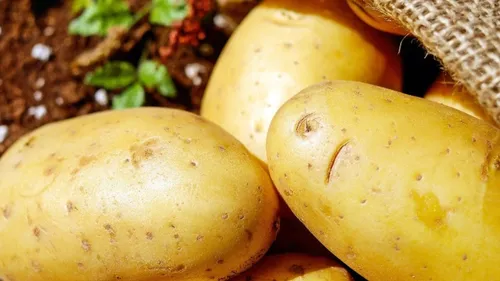 Le prix des pommes de terre augmente aussi 