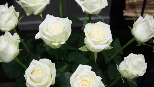 Féminicide à Saint-Ciers-d'Abzac : une marche blanche organisée...