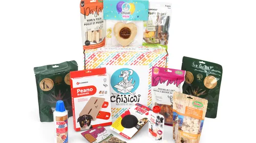 Gâteaux, cadeaux… Fêtez l’anniversaire de votre chien comme il se...