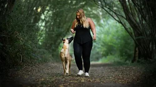 Sarthe : un parc à chiens pour mieux connaitre son animal 