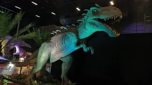 Salon de l’Agriculture, dinosaures et canapé orange… : trois idées...