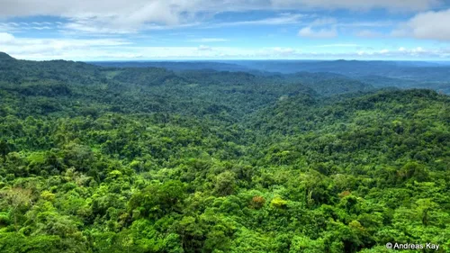 La Colombie séduit de plus en plus ! 