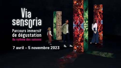 Cité du Vin : Via Sensoria, un voyage au fil des saisons
